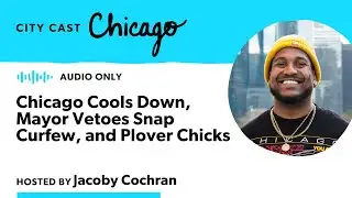 Chicago Cools Down, Mayor Vetoes Snap Curfew, and Plover Chicks 