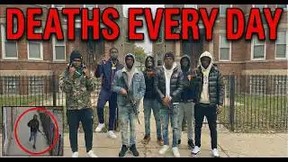 Chicago Mega Gang War 70+ Dead (051 vs O’Block vs MOB and More)