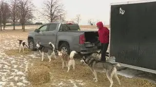 Chicago Park District hosts Polar Adventure Day