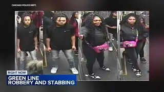 Chicago police issue warning after robbery victim stabbed on CTA Green Line train