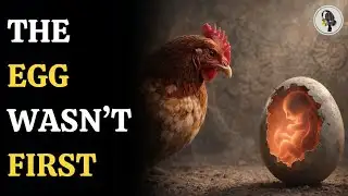 Chicken Or Egg Mystery Solved? Scientists Reveal A Surprising Answer | WION Podcast