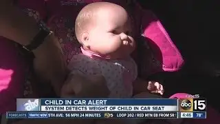 Child in car alert system