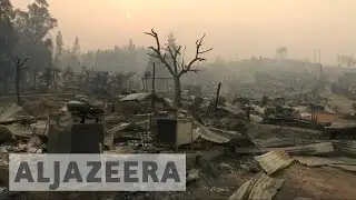 Chile: 1,500 homes destroyed as forest fires rage