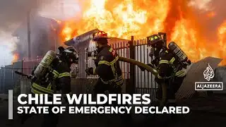 Chile forest fire death toll rises to 20 as state of emergency declared