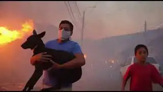 Chile in Flames: Deadly Wildfires Leave 16 Dead