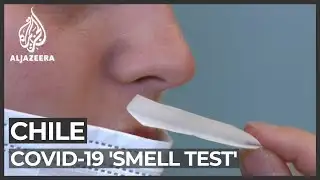 Chile scientists create coronavirus 