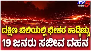 Chile Wildfires Kill 19 Amid Extreme Heat;  ದಕ್ಷಿಣ ಚಿಲಿಯಲ್ಲಿ ಭೀಕರ ಕಾಡ್ಗಿಚ್ಚು 19 ಜನರು ಸಜೀವ ದಹನ