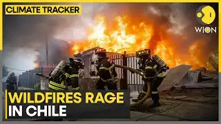 Chile Wildfires Kill 19 as Extreme Heat Fuels Blazes | WION Climate Tracker