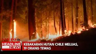 Chilean Forest Fires Spread, Killing 19
