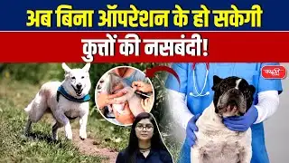 Chilean Scientists Develop Revolutionary Reversible Sterilization Vaccine for Dogs | UPSC