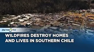 Chilean Wildfires Cause Widespread Devastation and Loss