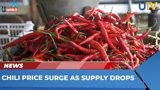 Chili Price Surge As Supply Drops | U World | UTV