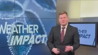 Chilly weekend, milder through next week