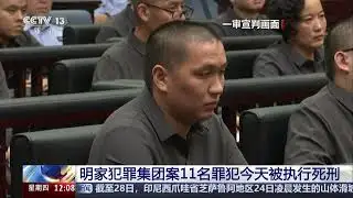 China executes 11 members of Myanmar-based syndicate in crackdown on scam operations