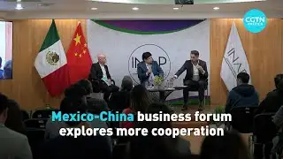 China-Mexico Business Forum explores more cooperation