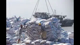 China Reaches US Soybean Target Set in Trade Truce