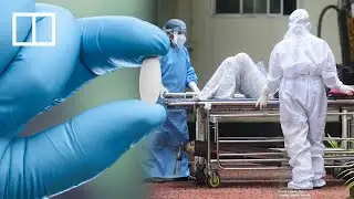 Chinese drug could help battle deadly Nipah virus