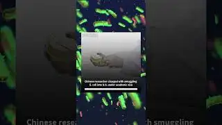 Chinese researcher charged with smuggling E. coli into U.S. under academic visa