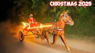 Christmas Celebration 2025 | കുതിരവണ്ടിയിൽ സമ്മാനങ്ങളുമായി സാന്റാ | M4 Tech |
