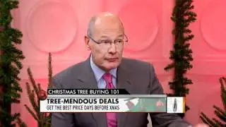 Christmas Tree Buying 101