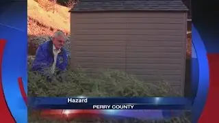 Christmas Tree drop-off