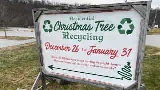 Christmas tree recycling program available for York County residents