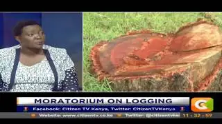 Citizen Extra: Moratorium on Logging