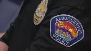 City Council President Pat Davis asking community about defunding APD