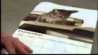 City looks toward another tight budget year