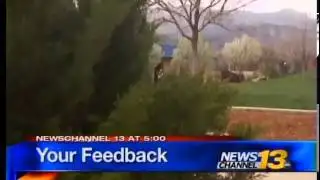 City Seeks Public Input on Master Plan for Parks