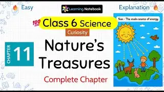 Class 6 Science Nature’s Treasures - Class 6 Science Curiosity Chapter 11
