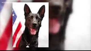 Clay County deputies honor retired K9 who passed away