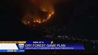 Climate Change And Fire Suppression Method Collide With Unexpected Impacts On Local Forests.