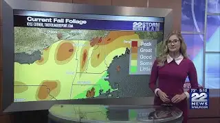 Climate change delays start of fall foliage