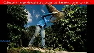 Climate change devastates crops as farmers turn to tech - Byte News Daily