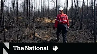 Climate change made Quebec wildfires twice as likely, scientists say