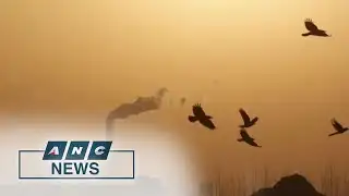 Climate-conscious activists win Exxon board seats | ANC