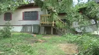 Clinton family loses everything after tree falls on house