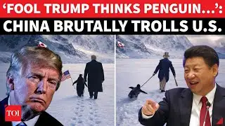 ‘CLUELESS TRUMP…’: China’s PENGUIN Post Retaliation Shocks US | Greenland Clash Sparks Meme War