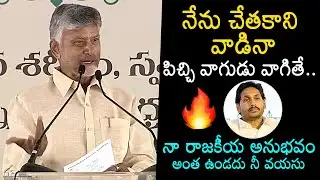 CM Chandrababu Shocking Comments On YS Jagan | TDP vs YSRCP | News Buzz