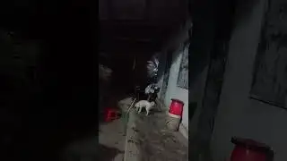 CNN Brasil vlog january22, 2026 #CNN # Brasil