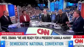 CNN commentator leaves panel stunned after blasting Democrats