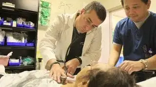 CNN Explains: Health care reform