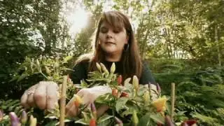 CNN Hero: Holly Hirshberg