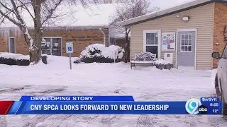 CNY SPCA looks forward to new leadership after board resigns