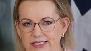 Coalition aims to crack down on visa overstayers