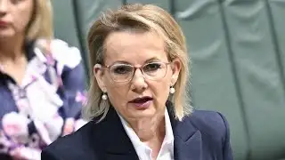 Coalition cannot do its job when led by ‘moderate’ Sussan Ley: Chris Kenny