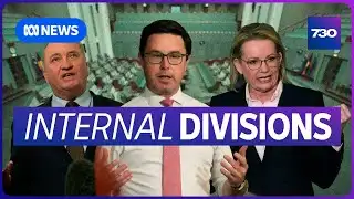 Coalition infighting erupts as Barnaby Joyce pushes to repeal net zero | 7.30