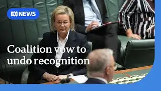 Coalition would undo Palestinian recognition if elected | ABC NEWS