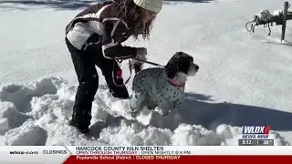 Coast residents react to historic snowfall, aftermath